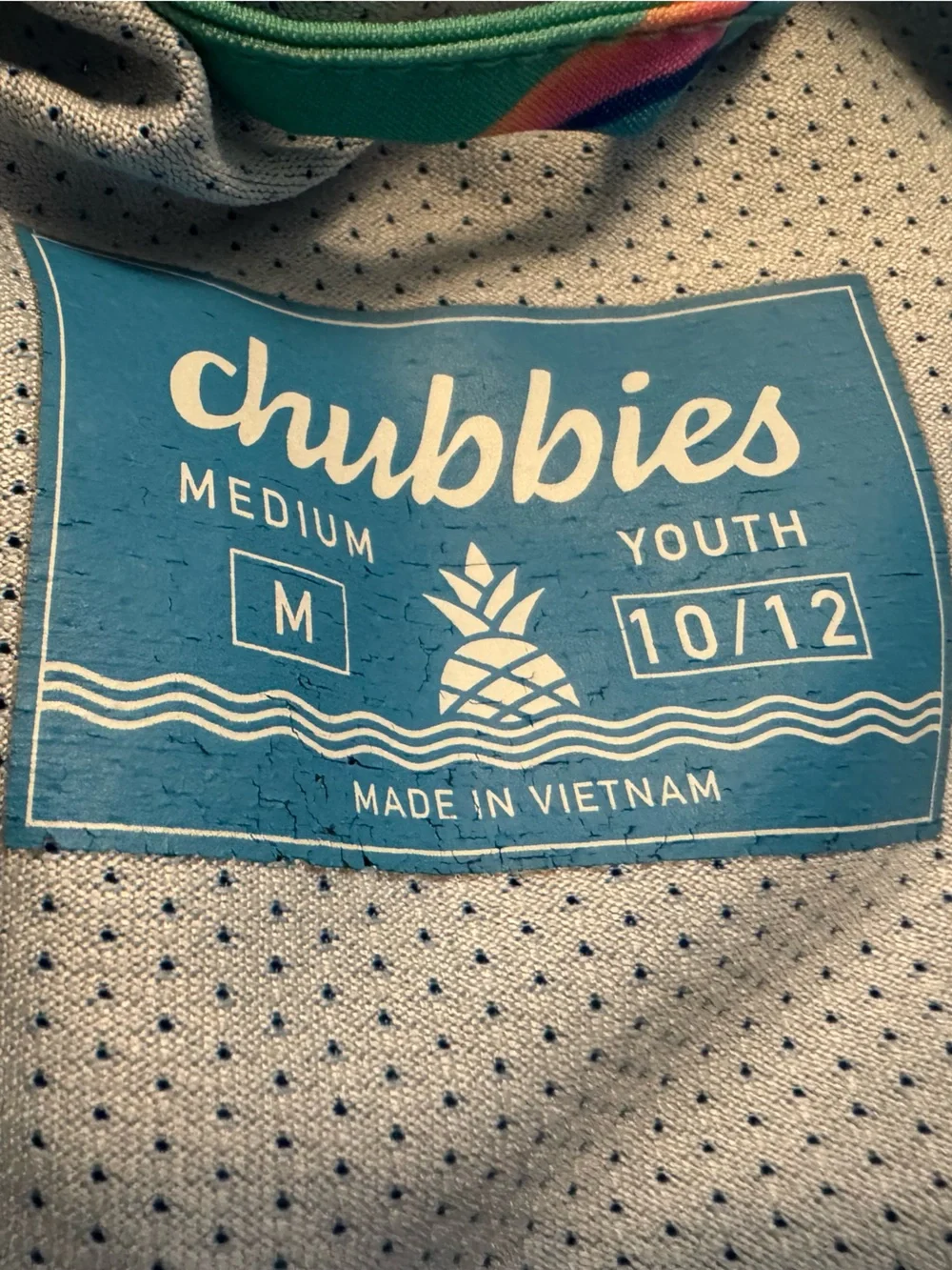 Chubbies Youth Lined Swim Trunks Medium Hammerhead | Medium 10/12